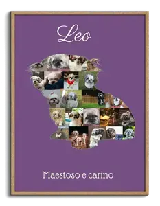"Crea la tua Collage Shih Tzu: Ricordo Unico del Tuo Amico a Quattro Zampe"