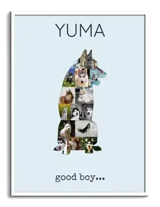 Crea la tua Collage del Siberian Husky con foto personalizzate!