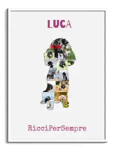 Crea la tua Collage Zwergpudel: Personalizza con foto e testo!