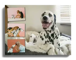 Crea la tua Collage XXL di un Cane Speciale su Alu-Dibond
