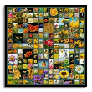 Crea la tua Collage Quadrata: Arte Naturale Personalizzata