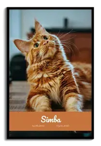 Crea collage ricordo gatto – foto unica, nome e date