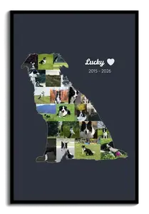 Collage silhouette cane in memoria – Crea ora con foto, nome e anni
