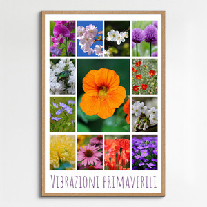 Crea il tuo collage foto fiori e piante – stampa premium: rose, tulipani, prati in fiore