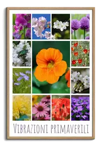 Crea il tuo collage foto fiori e piante – stampa premium: rose, tulipani, prati in fiore