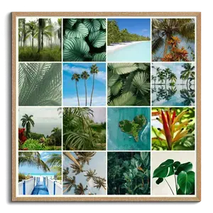 Collage foto natura tropicale – stampa premium: Crea ora palme, foresta pluviale e spiagge