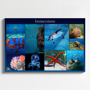 Collage foto subacquee: animali marini e immersioni – crea e stampa il tuo collage premium Collage foto subacquee: animali marini e immersioni – crea e stampa il tuo collage premium