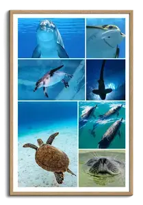 Collage foto subacquee: animali marini e immersioni – crea e stampa il tuo collage premium