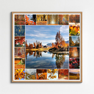 Collage foto natura 4 stagioni - crea e stampa premium con modelli per paesaggi e animali