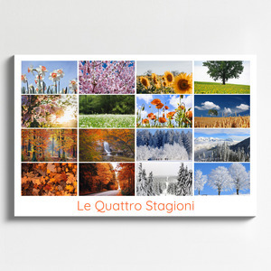 Collage foto natura 4 stagioni - crea e stampa premium con modelli per paesaggi e animali