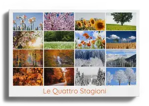 Collage foto natura 4 stagioni - crea e stampa premium con modelli per paesaggi e animali