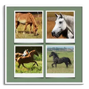 Crea una collage Polaroid di animali selvatici e personali con testi unici