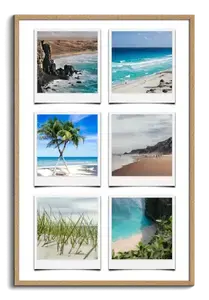 Crea la tua Collage Polaroid di Natura: Un anno di colori