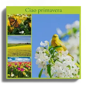 Collage foto di primavera da appendere – crea il tuo con fiori e testo personalizzato