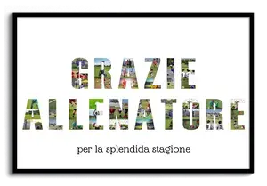 Crea il tuo collage "GRAZIE ALLENATORE" personalizzato