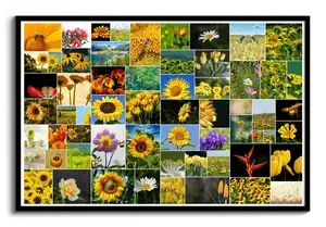 Crea la tua Collage Poster con Fiori per Casa o Regalo