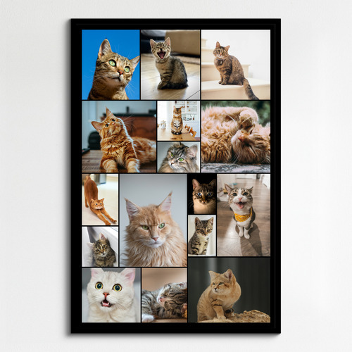 Collage foto del tuo gatto: crea ora con vari modelli e testo personalizzato