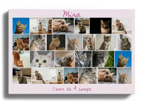 Collage gatto con testi personalizzati