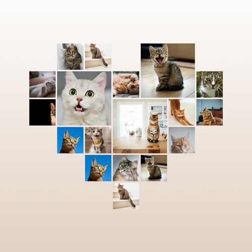 Collage a cuore con foto del tuo gatto – crea ora e personalizza testo o nome