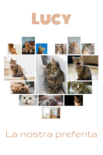 Collage a cuore con foto del tuo gatto – crea ora e personalizza testo o nome