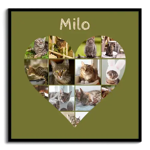 Collage a cuore con foto del tuo gatto – crea ora e personalizza testo o nome