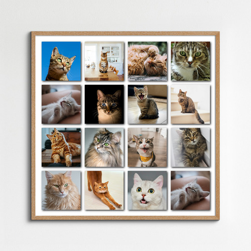 Collage Polaroid del tuo gatto dalle tue foto - crea ora con testi e nome personalizzati