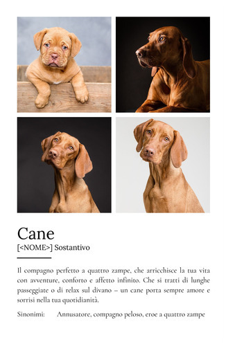 Crea il tuo poster "Definizione Cane" personalizzato con foto e testo!