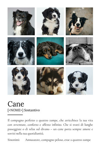 Crea il tuo poster "Definizione Cane" personalizzato con foto e testo!