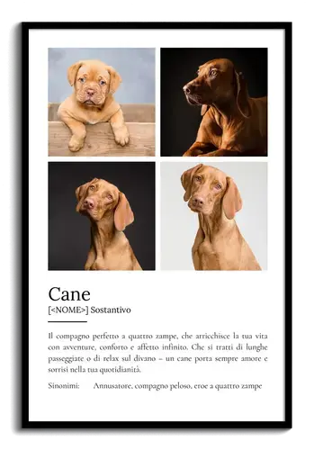 Crea il tuo poster "Definizione Cane" personalizzato con foto e testo!