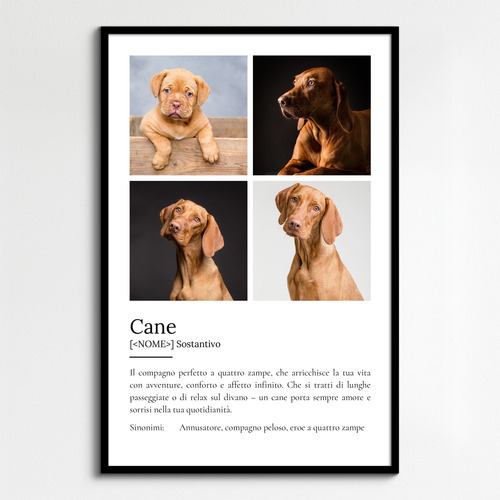 Crea il tuo poster "Definizione Cane" personalizzato con foto e testo!