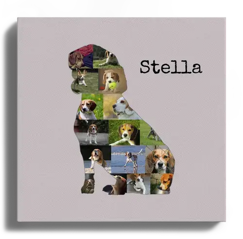 Collage Beagle: Crea un ricordo personalizzato del tuo amico a quattro zampe!