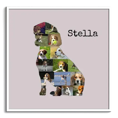 Collage Beagle: Crea un ricordo personalizzato del tuo amico a quattro zampe!