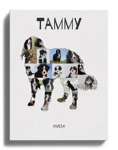 Crea la tua Collage Berner con Foto del tuo Cane e Testo Personalizzato