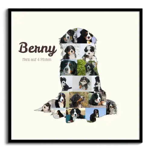 Crea la tua Collage Berner con Foto del tuo Cane e Testo Personalizzato