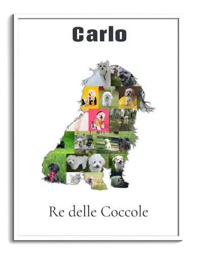 Crea la tua Collage Bolonka Zwetna: Personalizza foto e testo