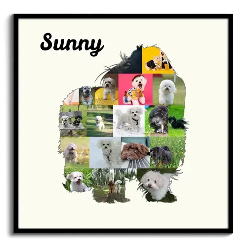 Crea la tua Collage Bolonka Zwetna: Personalizza foto e testo