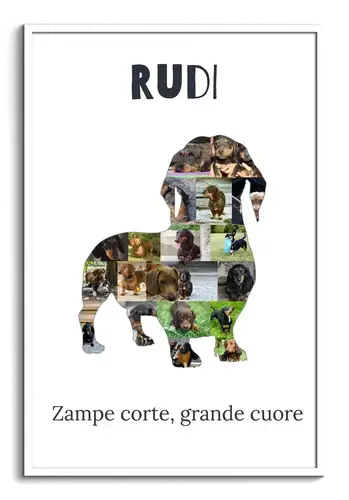 "Crea la tua Collage Dackel: Personalizza con 15-20 Foto e Testo Unico per Amanti di Cani"