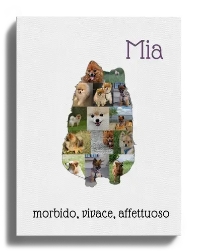 Crea la tua Collage Zwergspitz unica per amore e ricordi!