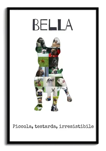 Crea la tua Collage Bulldog Francese Personalizzata