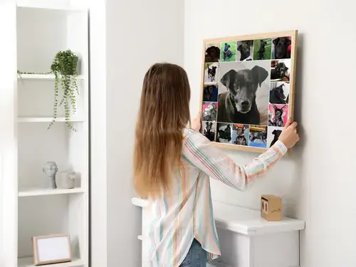 Collage Fotografica Cuore Canino Personalizzabile