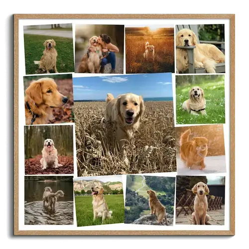 Collage Fotografica Cuore Canino Personalizzabile