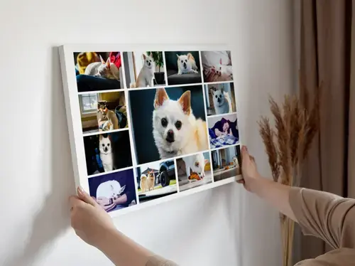 Collage Fotografica Cuore Canino Personalizzabile