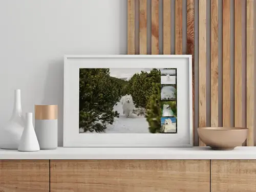 Collage foto del cane personalizzabile