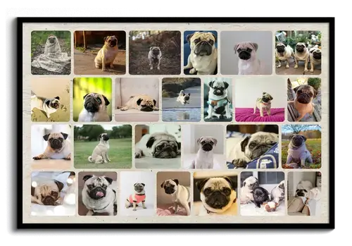 Collage foto del cane personalizzabile