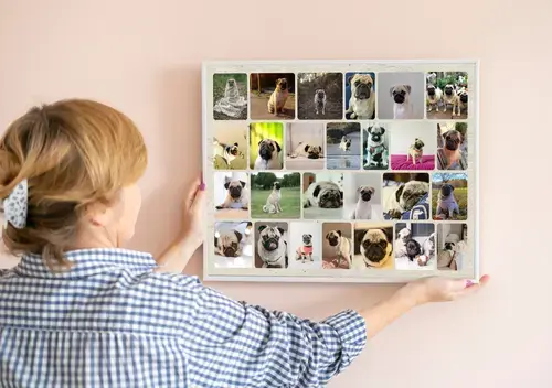 Collage foto del cane personalizzabile