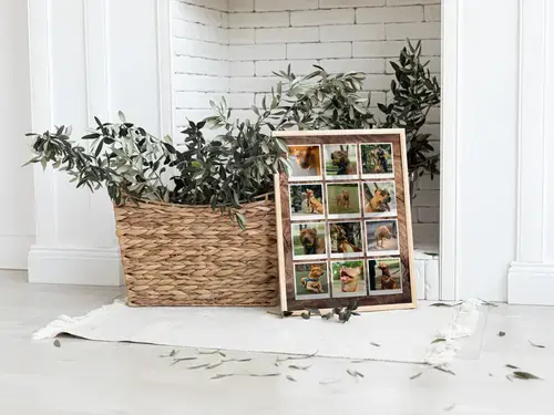 Collage cane: cuore, 3 scene o polaroid