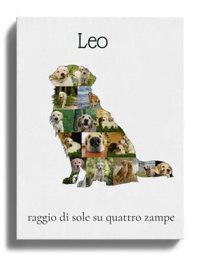 Crea la tua Collage Golden Retriever unica con foto e testo personalizzati!