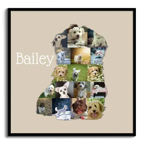 Collage Havanese Personalizzata per Amanti dei Cani - Crea e Ricorda