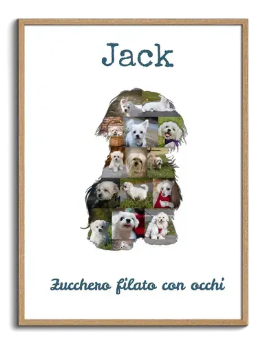 Crea la tua Collage Cane Malteser: Personalizza con 15-20 Foto e Testo