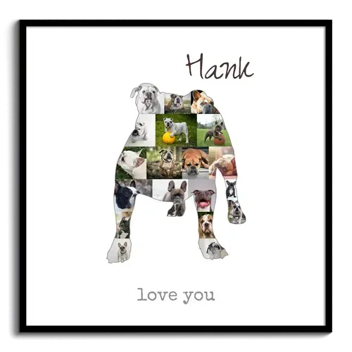 Crea la tua Collage Bulldog: Foto e Testo Personalizzati